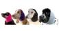 Preview: Show Tech Ear Buddy (Ohrenschutz)